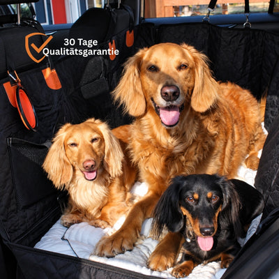 Kylo's Pfotennest Rücksitzschutz für Hunde