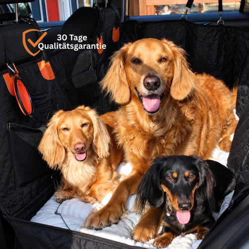 Kylo's Pfotennest Rücksitzschutz für Hunde
