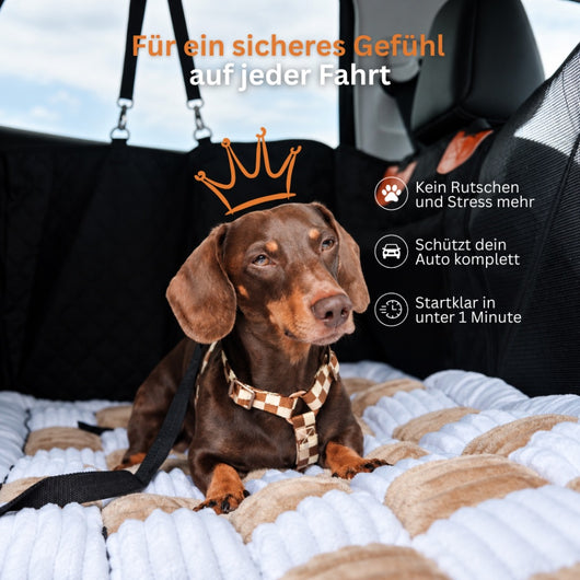 Kylo's Pfotennest Rücksitzschutz für Hunde